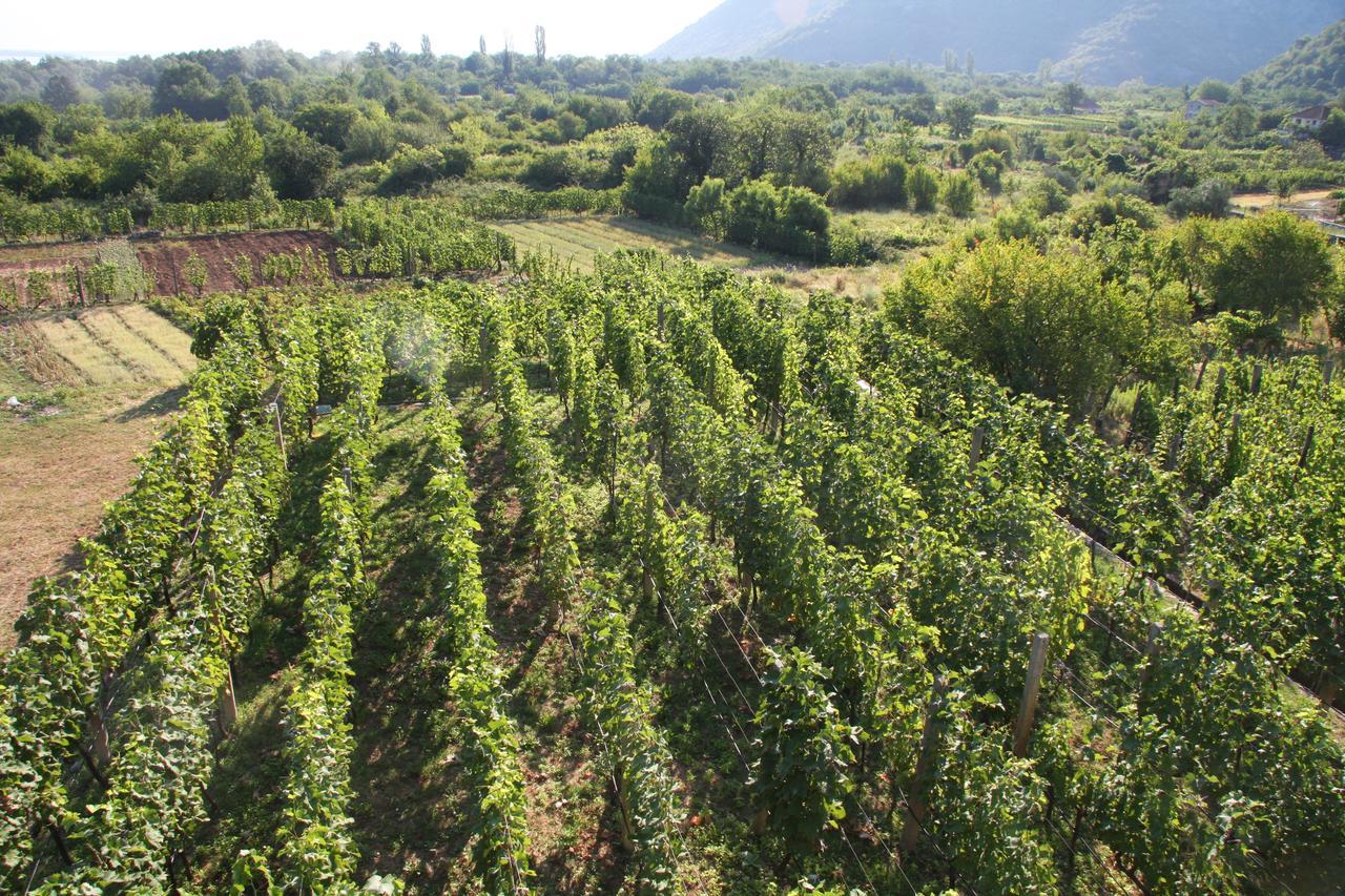 Vrzina Farm House Skadar Lake 威尔帕扎 外观 照片