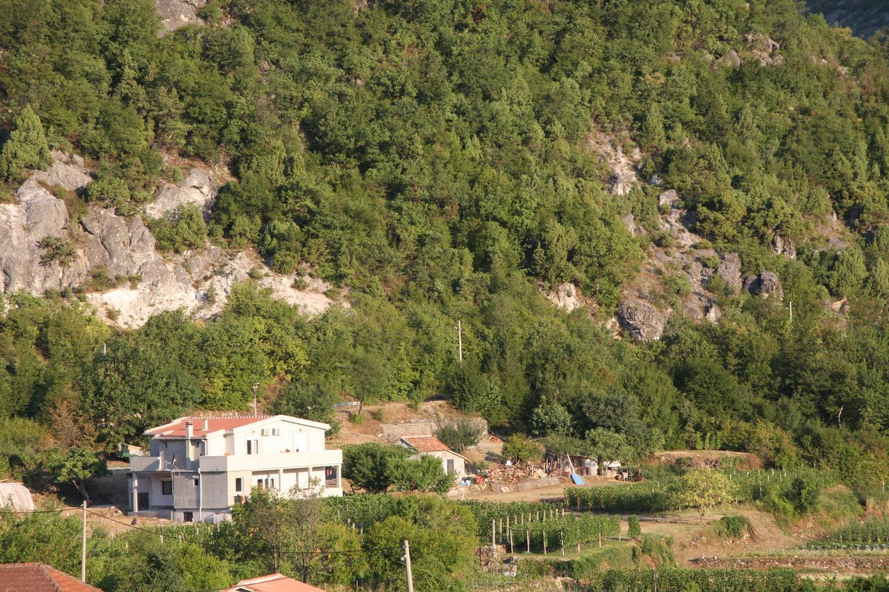 Vrzina Farm House Skadar Lake 威尔帕扎 外观 照片