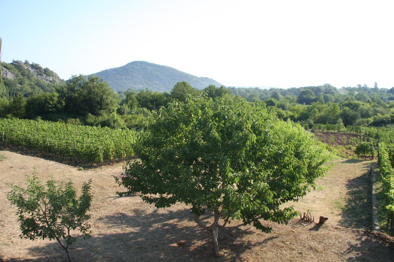 Vrzina Farm House Skadar Lake 威尔帕扎 外观 照片