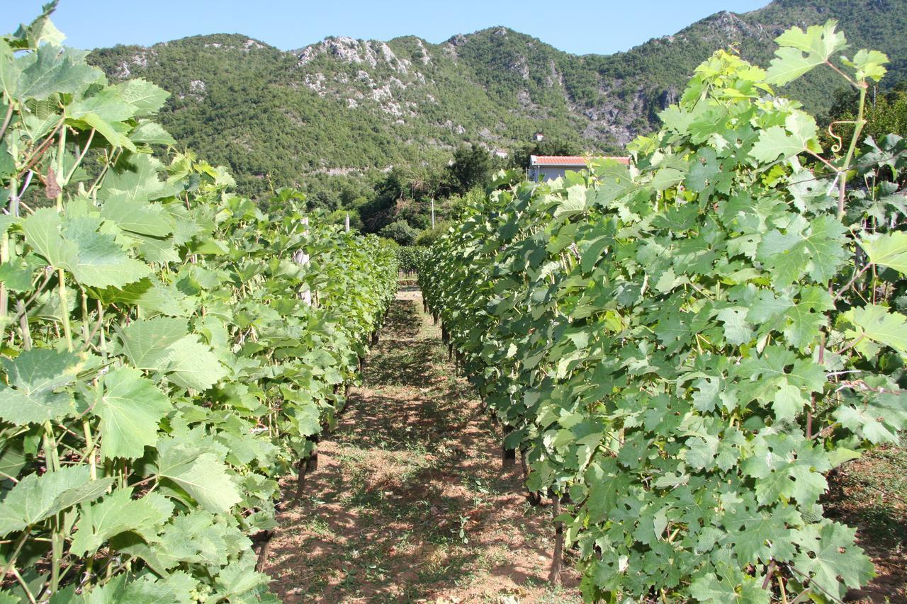 Vrzina Farm House Skadar Lake 威尔帕扎 外观 照片