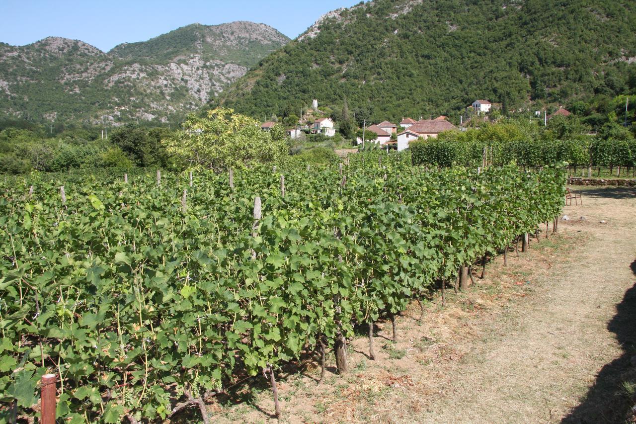 Vrzina Farm House Skadar Lake 威尔帕扎 外观 照片