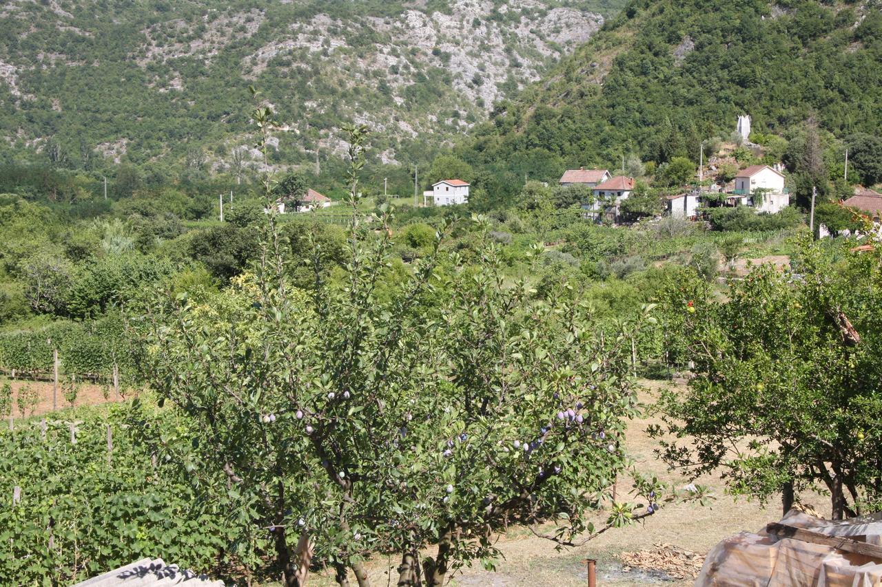 Vrzina Farm House Skadar Lake 威尔帕扎 外观 照片