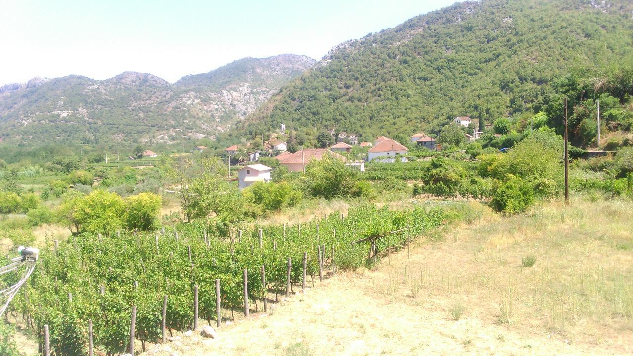 Vrzina Farm House Skadar Lake 威尔帕扎 外观 照片