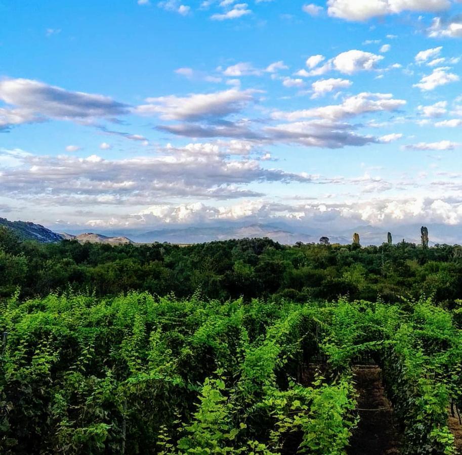 Vrzina Farm House Skadar Lake 威尔帕扎 外观 照片